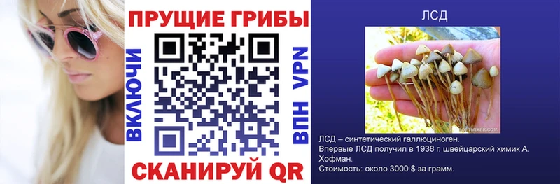 Псилоцибиновые грибы Psilocybine cubensis  наркошоп  Камышлов 